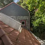 Lägenhet Tripas-coracao, Breiner Greenhouse