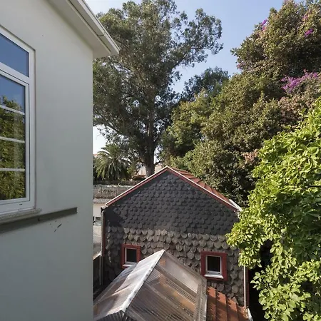 Tripas-coracao, Breiner Greenhouse * Porto