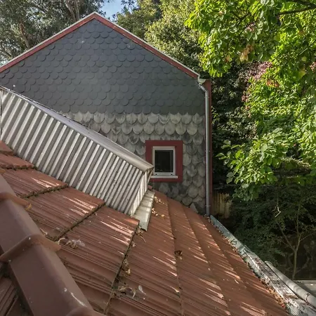 Apartament Tripas-coracao, Breiner Greenhouse