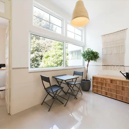 Apartamento Tripas-coracao, Breiner Greenhouse *